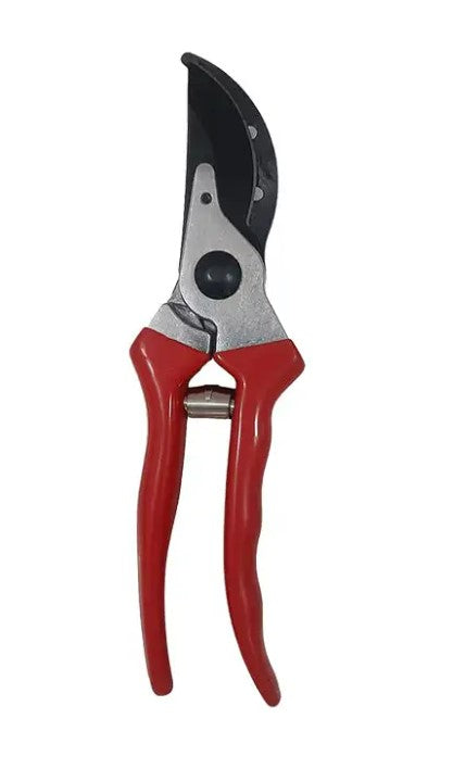 Pruning Shear
