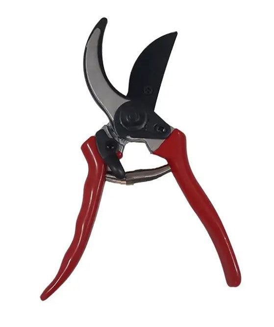Pruning Shear